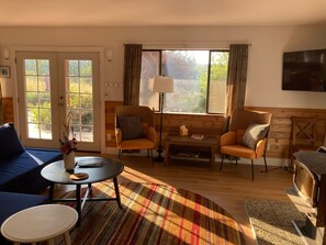 Smart TV, fireplace, books