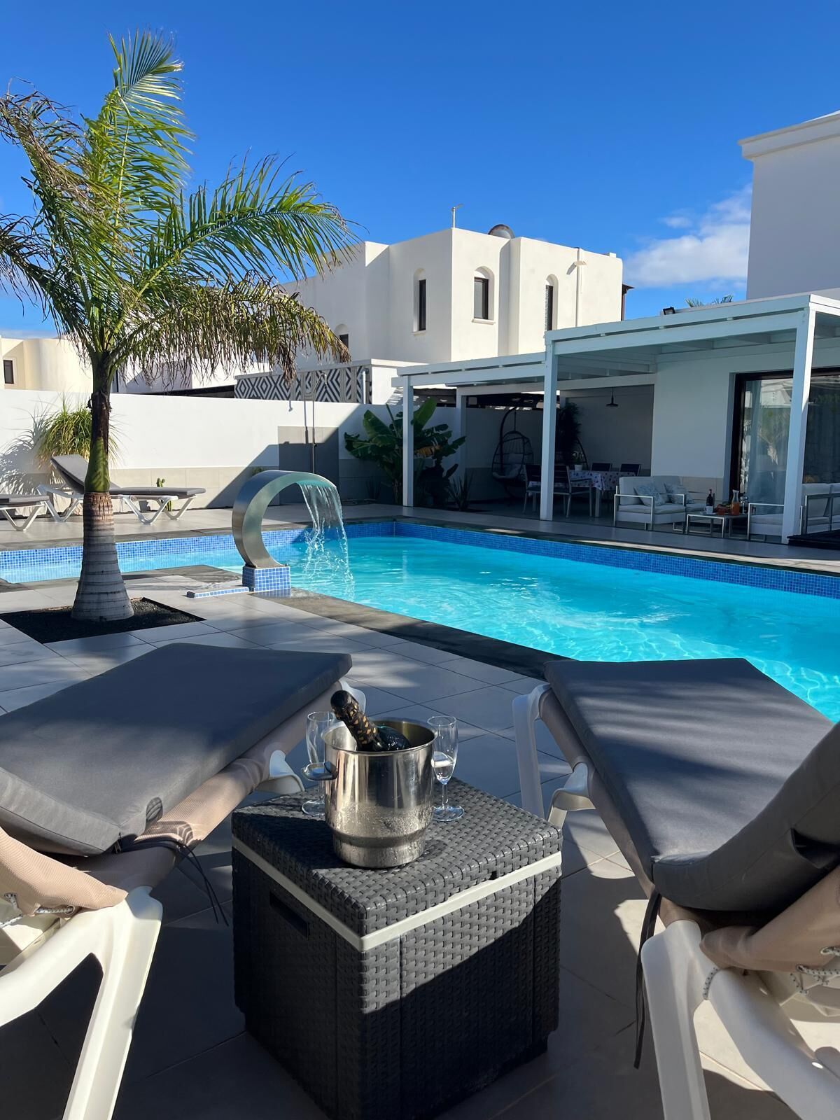 A pool area with lounge chairs, a bottle of champagne, and a palm tree.