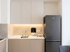 Private kitchen - Boutique Hotel Echo Residence (Belgrade)