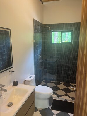 Asciugamani, sapone, carta igienica