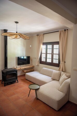Smart TV, chimenea y libros 