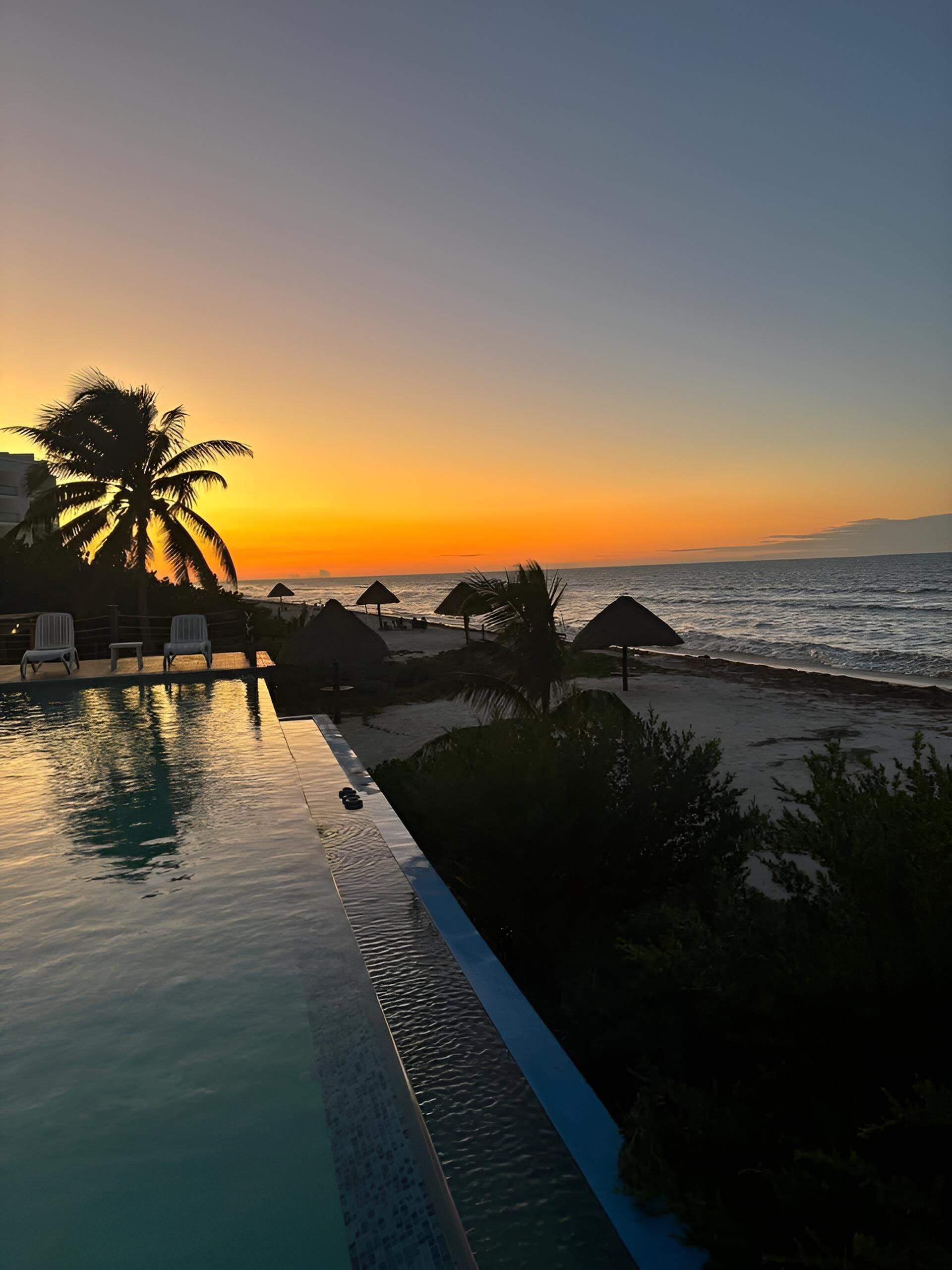 Blick auf ein Schwimmbecken bei Sonnenuntergang mit einer Palme, Liegestühlen und einem Strand im Hintergrund.