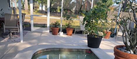 屋内プール、温水プール