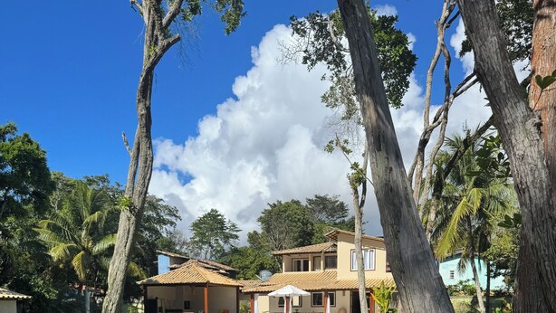 Una casa de dos pisos con piscina, rodeada de plantas tropicales y palmeras.