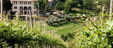 Voorkant van accommodatie