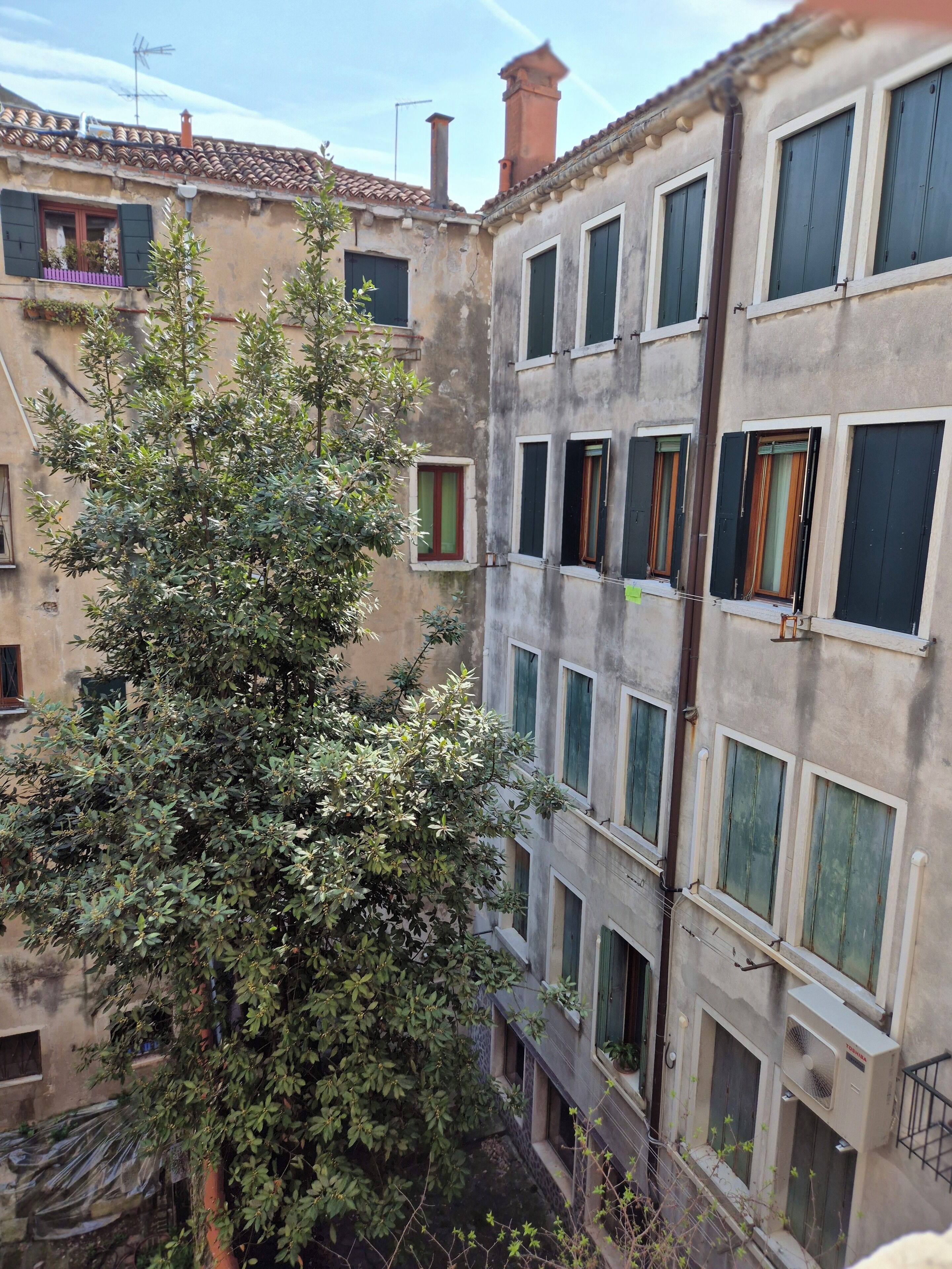 A multi-story building with several windows, some with shutters, and a tree in the foreground.