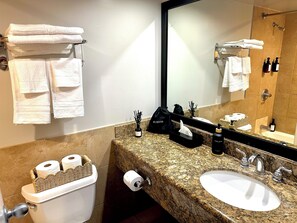 Hair dryer, towels, soap, shampoo