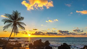 A beach with a palm tree, rocky shoreline, and a sunset. - Your Perfect Tropical Vacation Villa (Guatemala de Santa Rosa)