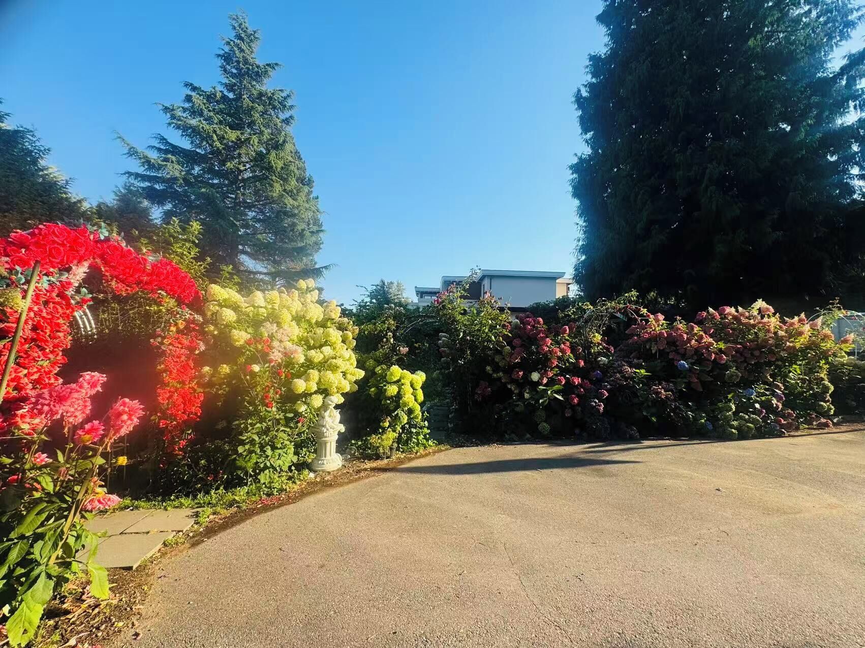 Un camino pavimentado serpentea entre un jardín con diversas plantas y árboles florecientes.