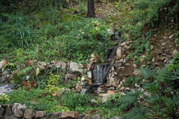 Property grounds - Miss Scarlet 3-bedroom cottage in Historic downtown Hot Springs (Hot Springs)