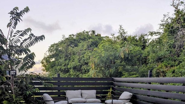 Eine Holzterrasse mit Pool, einer Bank und einem Schild, das die Frucht 'sugar apple' kennzeichnet.