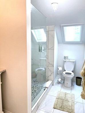 Shower, hair dryer, towels