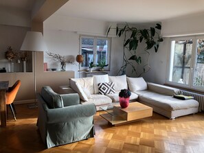TV, fireplace - Charming Alsatian house - Panoramic view, Wine Route & Christmas Markets (Molsheim)