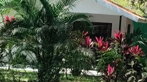 Une maison moderne dotée d’un toit en pente, entourée d’une végétation luxuriante et de plantes tropicales.