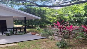 Un espace extérieur abrité, doté d’une terrasse, de plantes en pot et d’un jardin agrémenté de différentes espèces végétales.