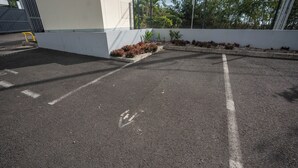 Un parcheggio con posti auto delimitati e un muro bianco con piante.