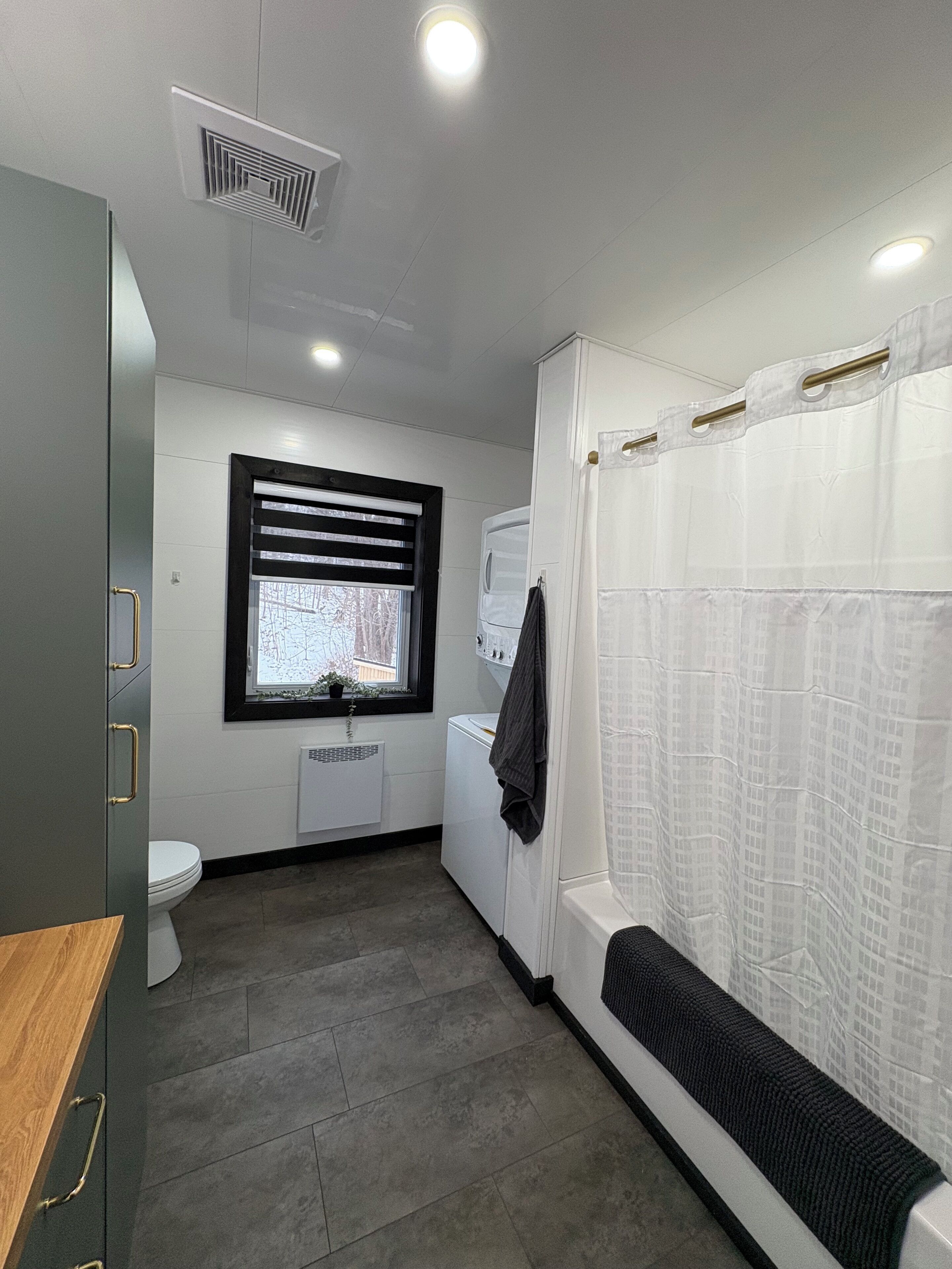 Hair dryer, towels, soap, toilet paper