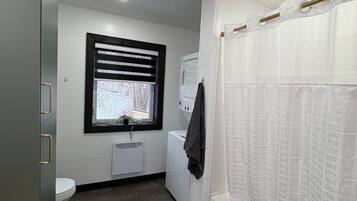 Hair dryer, towels, soap, toilet paper