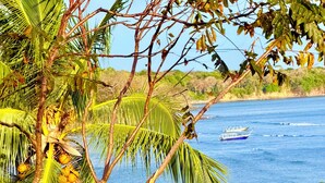 A beach with palm trees and a boat in the water. - Escape to your oceanfront retreat: Sea La Vie! (Playa Hermosa Boca Chica)