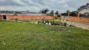 Un quartier résidentiel avec un mur en briques, un chemin pavé et diverses plantes en pot.