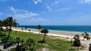 A beach with palm trees, a clear sky, and a view of the ocean. - Villa 51 - Tangalooma - Moreton Island (moreton island)