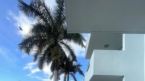 Un balcón con una silla blanca, un edificio blanco con ventilador y ventana, y palmeras al fondo.