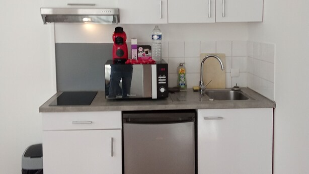 A compact kitchen with white cabinets, a stainless steel range hood, a microwave, a sink, and a dishwasher. - Lille Centre Lille Europe station (Lille)