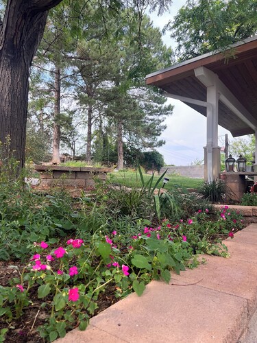 Serene 4-bedroom home, w/ 3 King beds, 2 twins, open floor plan, beautiful yard!