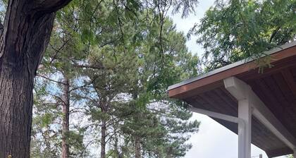 Serene 4-bedroom home, w/ 3 King beds, 2 twins, open floor plan, beautiful yard!