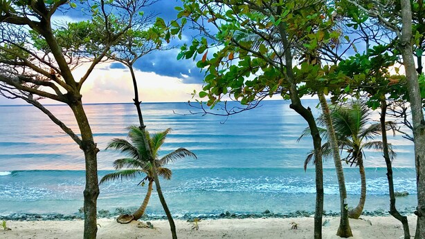 A beach with two lounge chairs and a palm tree. - Turtle Beach Sanctuary Utila  (Isla de Utila)