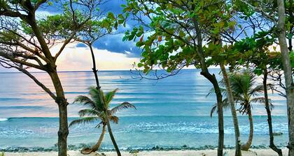 Turtle Beach Sanctuary Utila