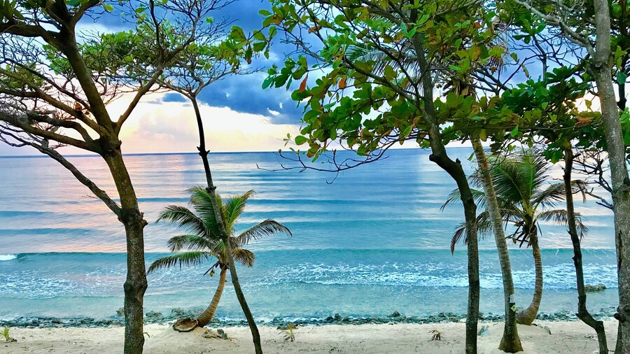 Turtle Beach Sanctuary Utila