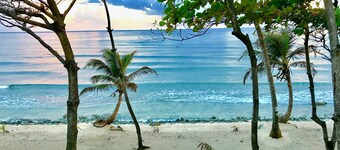 Turtle Beach Sanctuary Utila