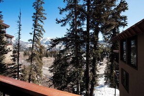 Property grounds - Bike Park Condo at Purgatory | Walk to Trails (Durango)