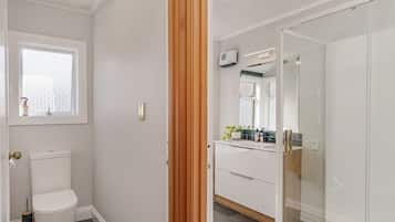 Shower, hair dryer, soap, shampoo