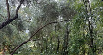 2 bed/2 bath condo in beautiful country setting on Highway 12