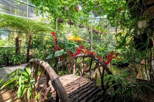 A szálláshely külső területei