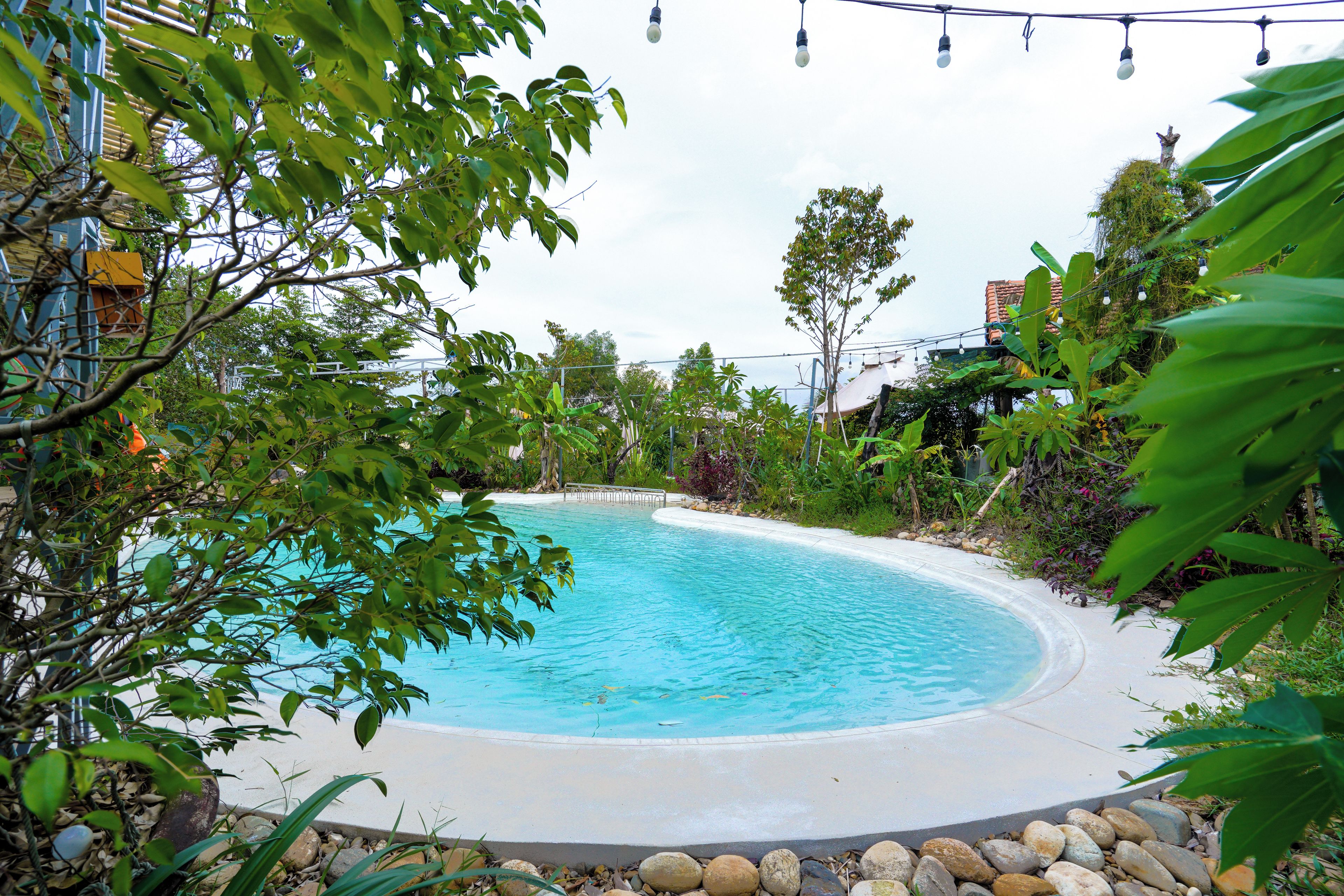 A swimming pool surrounded by lush greenery and a white fence.