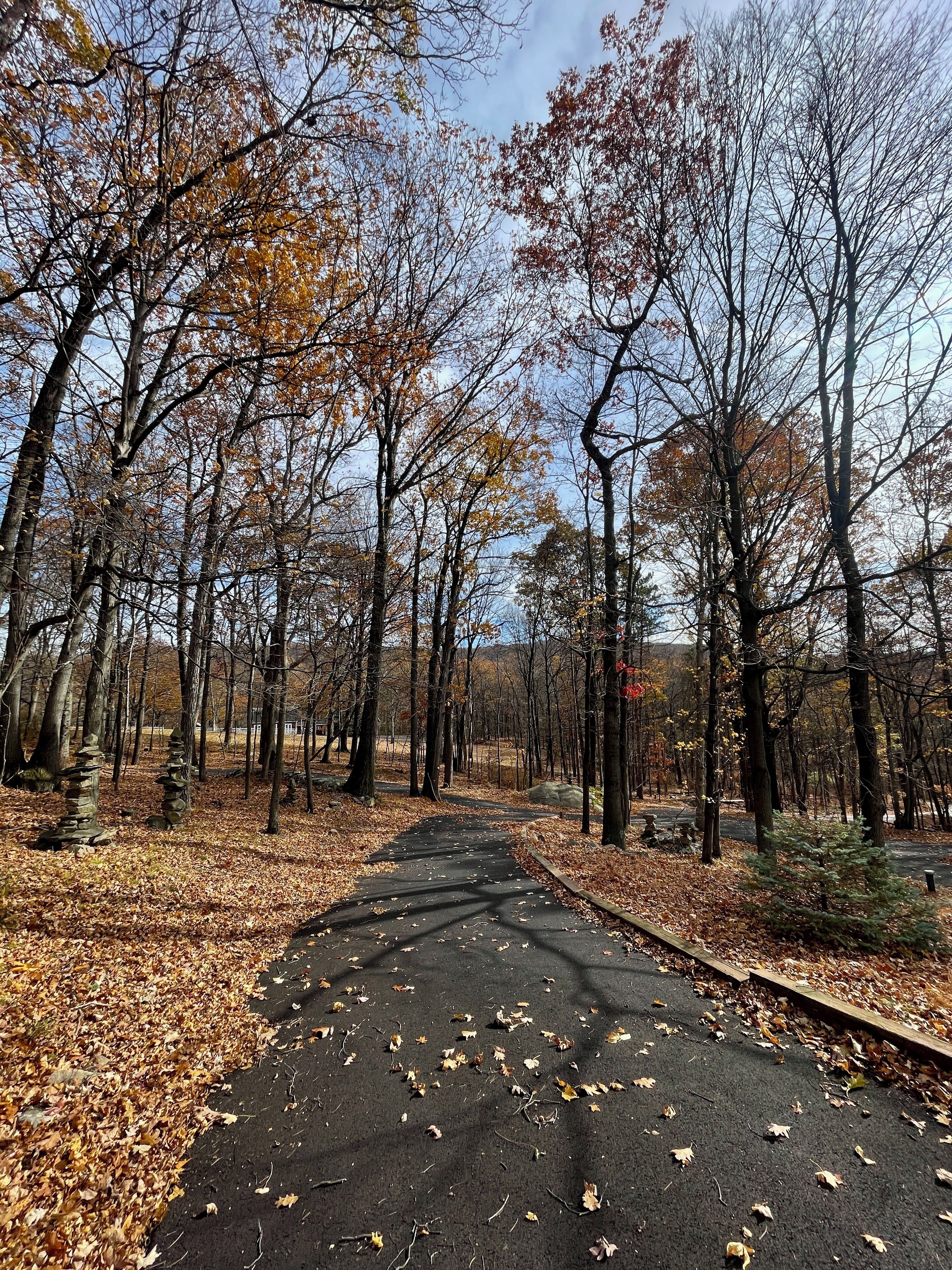 Un sentier pavé qui traverse une forêt où les feuilles d’automne jonchent le sol et où les arbres sont dénudés.