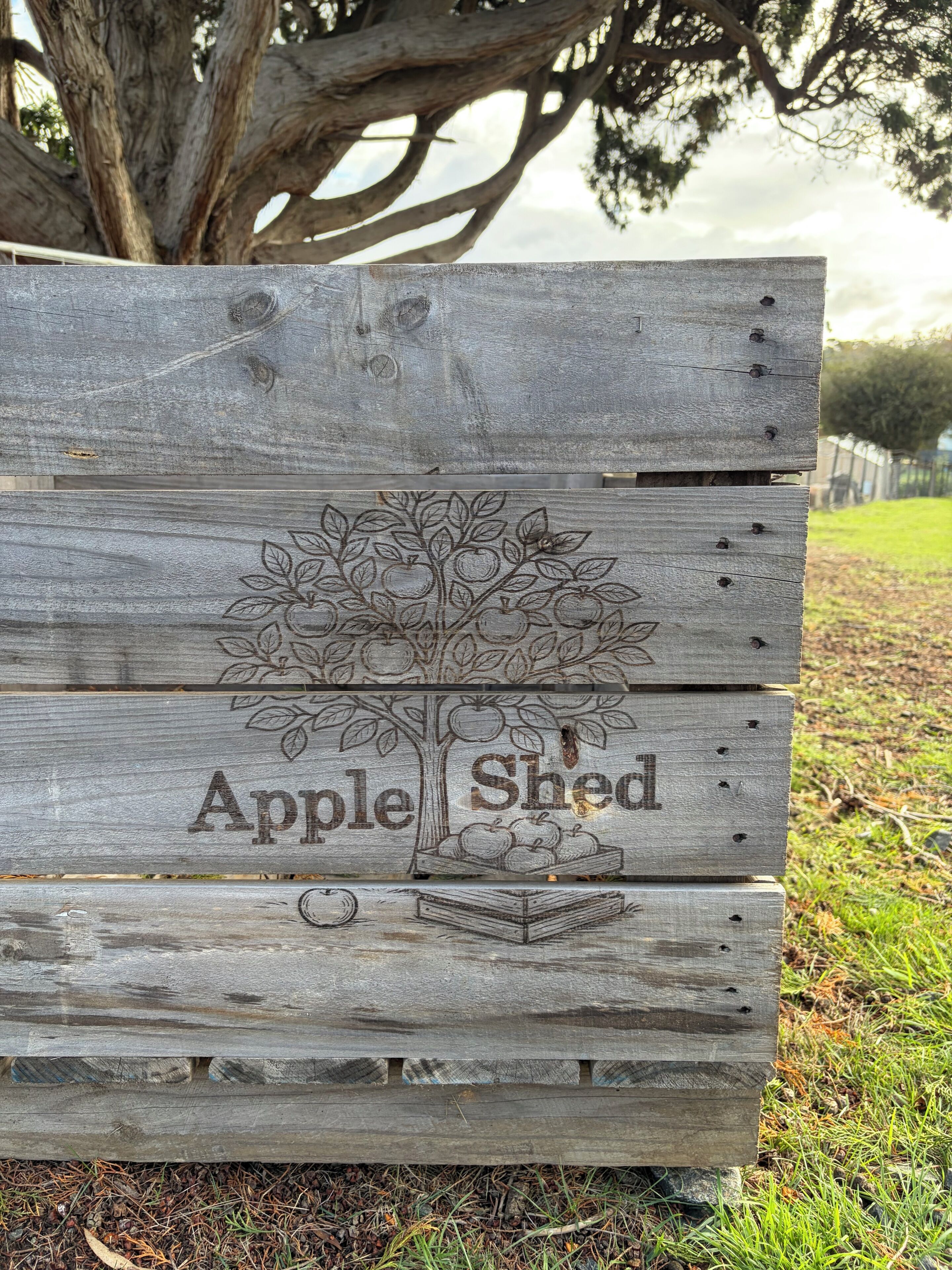 A wooden sign with a tree and apples, labeled 'Apple Shed.'