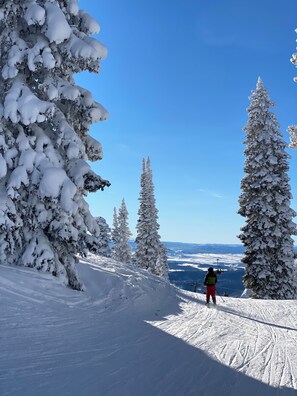 Snow and ski sports