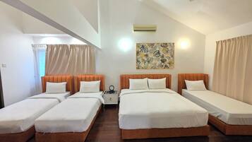 Iron/ironing board, free WiFi