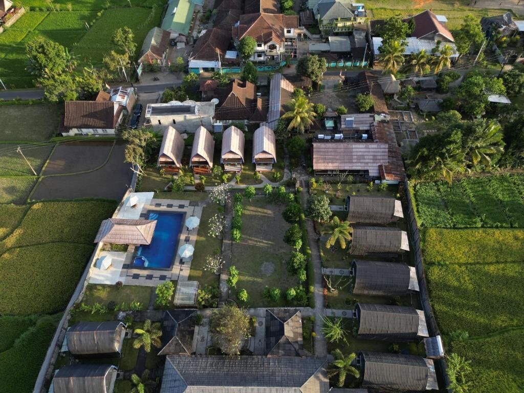 Vista aérea de una zona residencial con varias casas, una piscina y abundante vegetación.