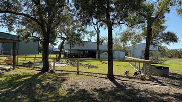 Área da propriedade