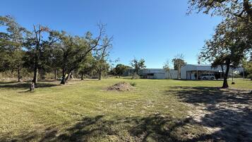 Área da propriedade