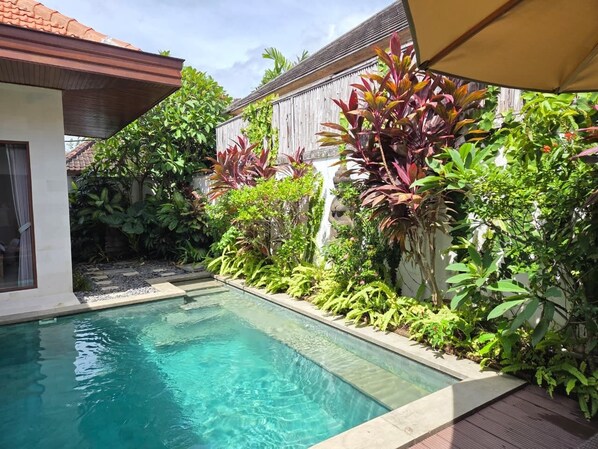 Pool - Villa Alamaya – Tranquility & Comfort in the Heart of Sanur (Sanur)