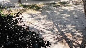 Apartamento, 1 quarto, acessível, para fumantes | Área da propriedade