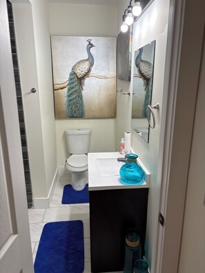 Hair dryer, towels, soap, toilet paper
