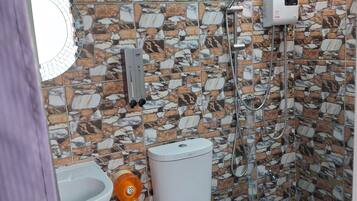 Shower, hair dryer, bidet, towels