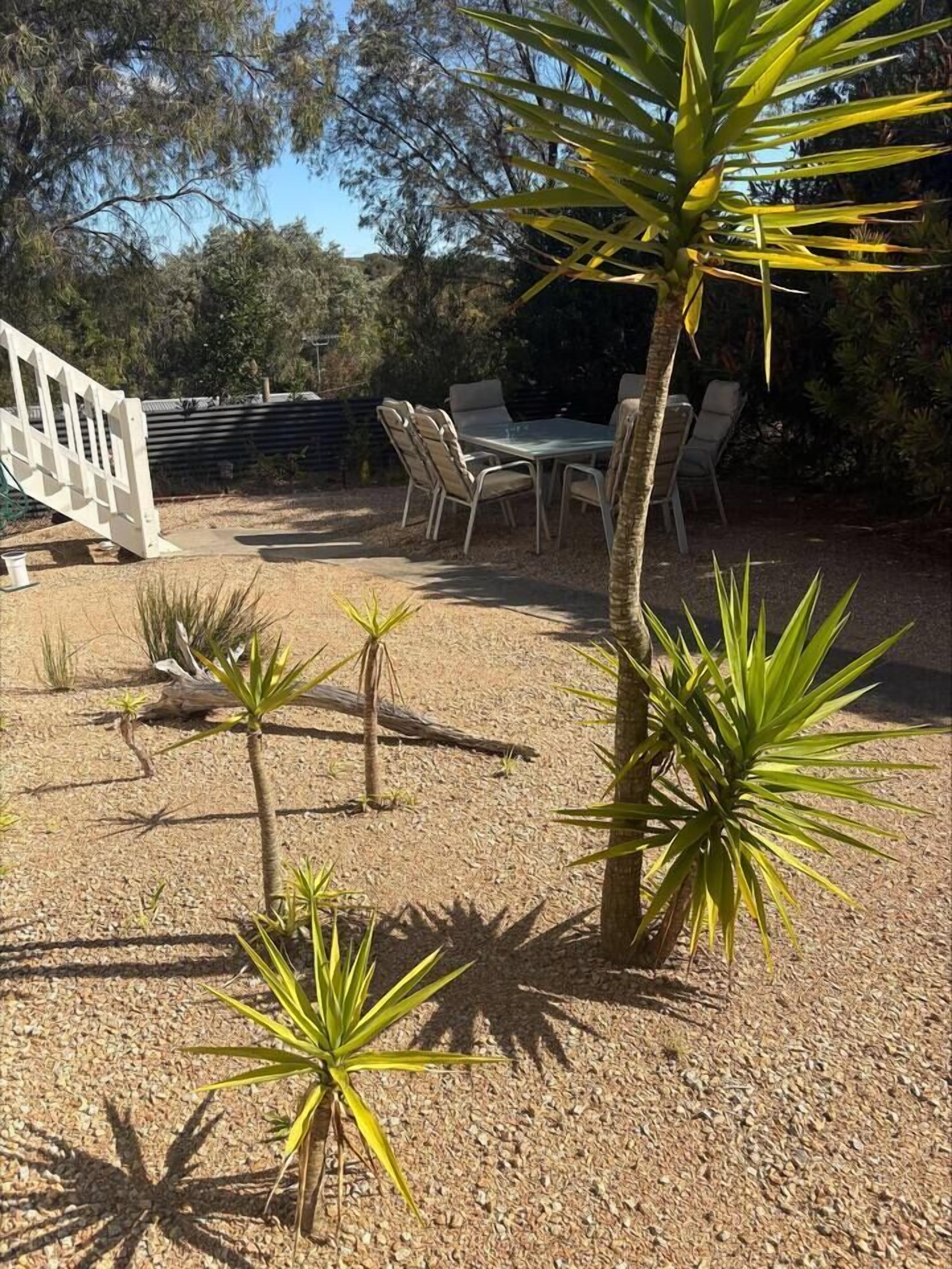 Un patio con una mesa y sillas, rodeado de pequeñas plantas parecidas a palmeras sobre una superficie de grava.